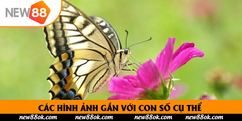Các hình ảnh gắn với con số cụ thể để kiếm về nhiều “triệu”